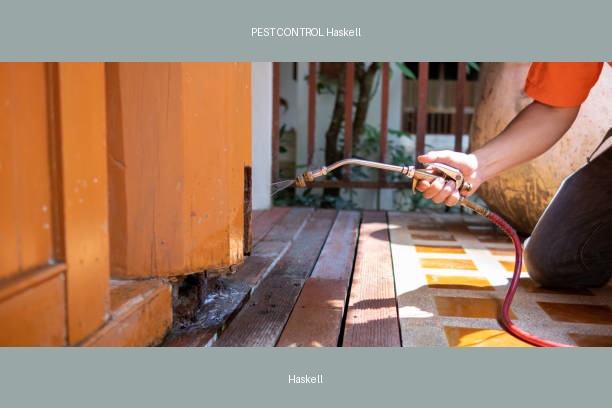 PEST CONTROL Haskell